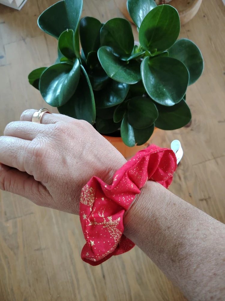 Le chouchou dans tous ses états